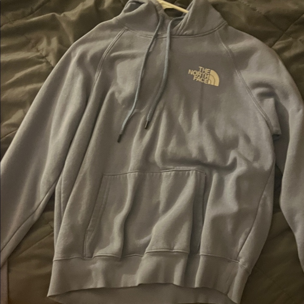 The North Face Men's Blue Hoodie Sweater